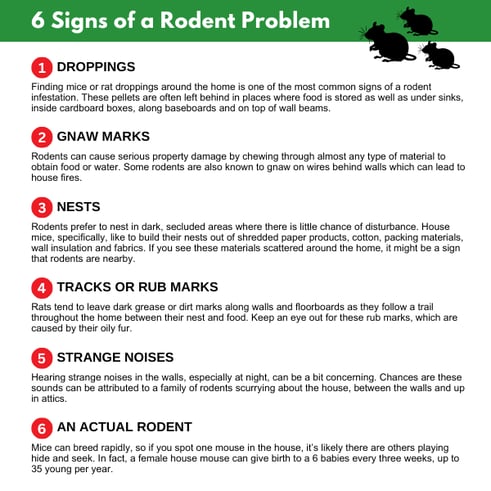 Graphic outlining common signs of a rodent problem