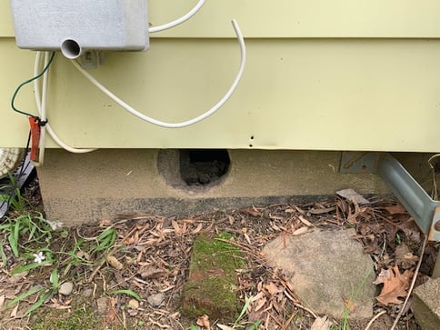 Rodent Hole In Foundation