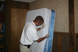 bed bug encasements
