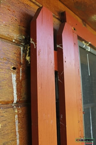 Carpenter Bee Damage Monroe
