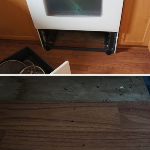 Mouse Droppings Under Stove