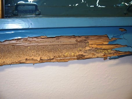 Termite Damage Monroe NJ