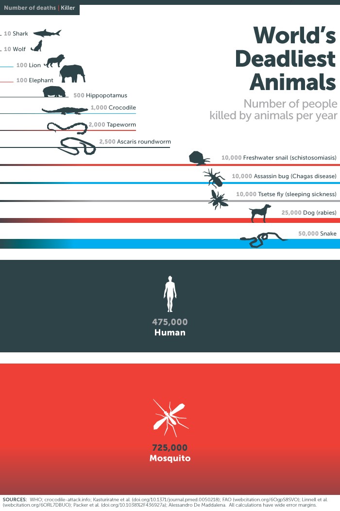 World's Deadliest Animals Infographic