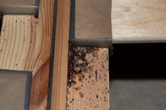 Бывают ли клопы в ванной