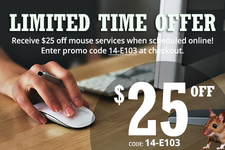 Buy Online 25 off - mouse